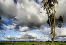 34岁生日快乐：低调传奇坎特.